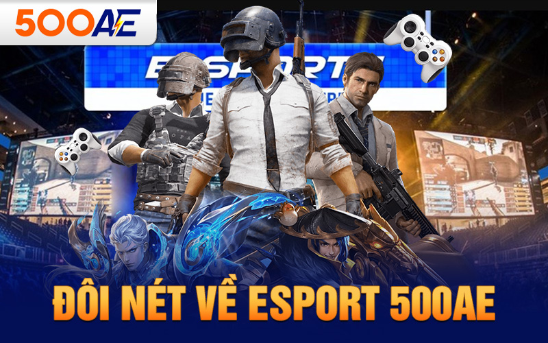  Đôi nét về Esport 500AE